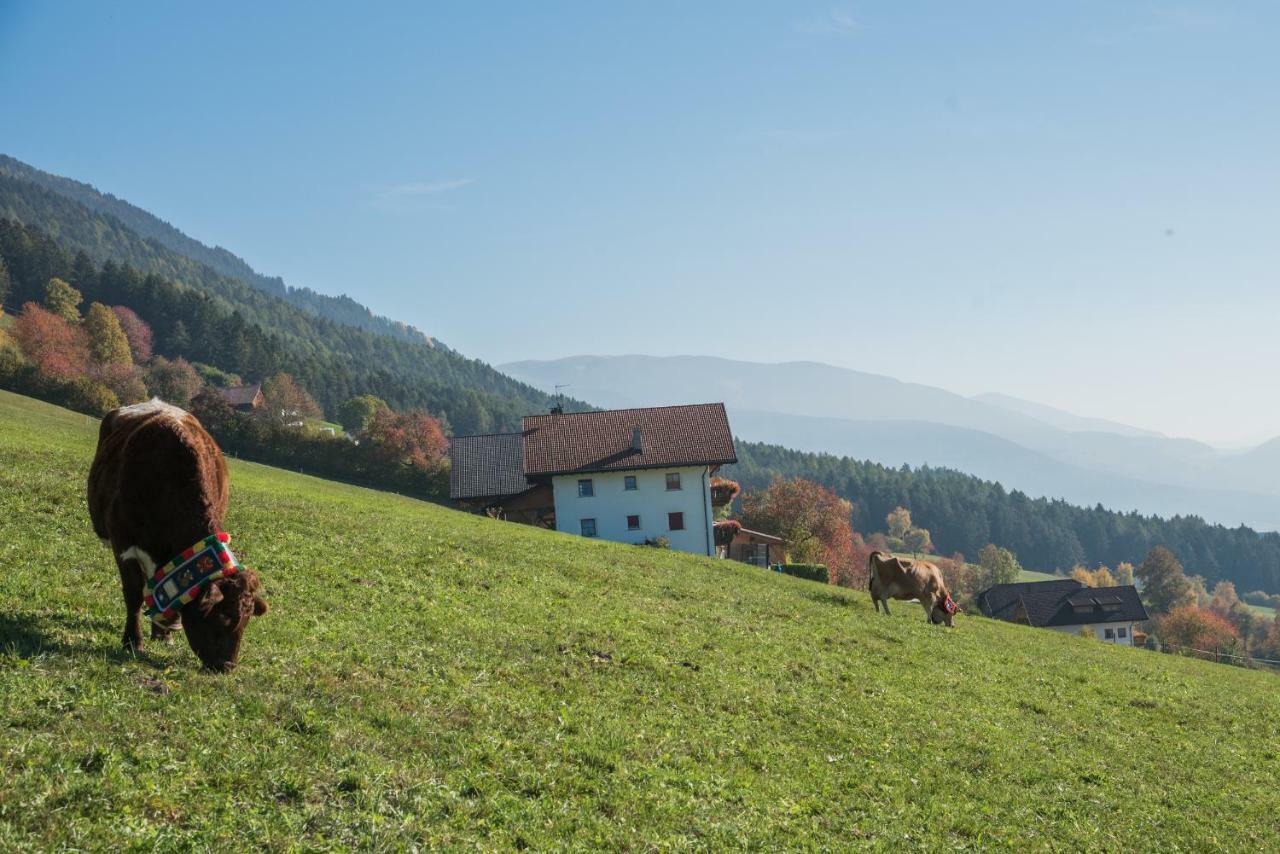 Oberbaumgartnerhof Villa Pfalzen Buitenkant foto